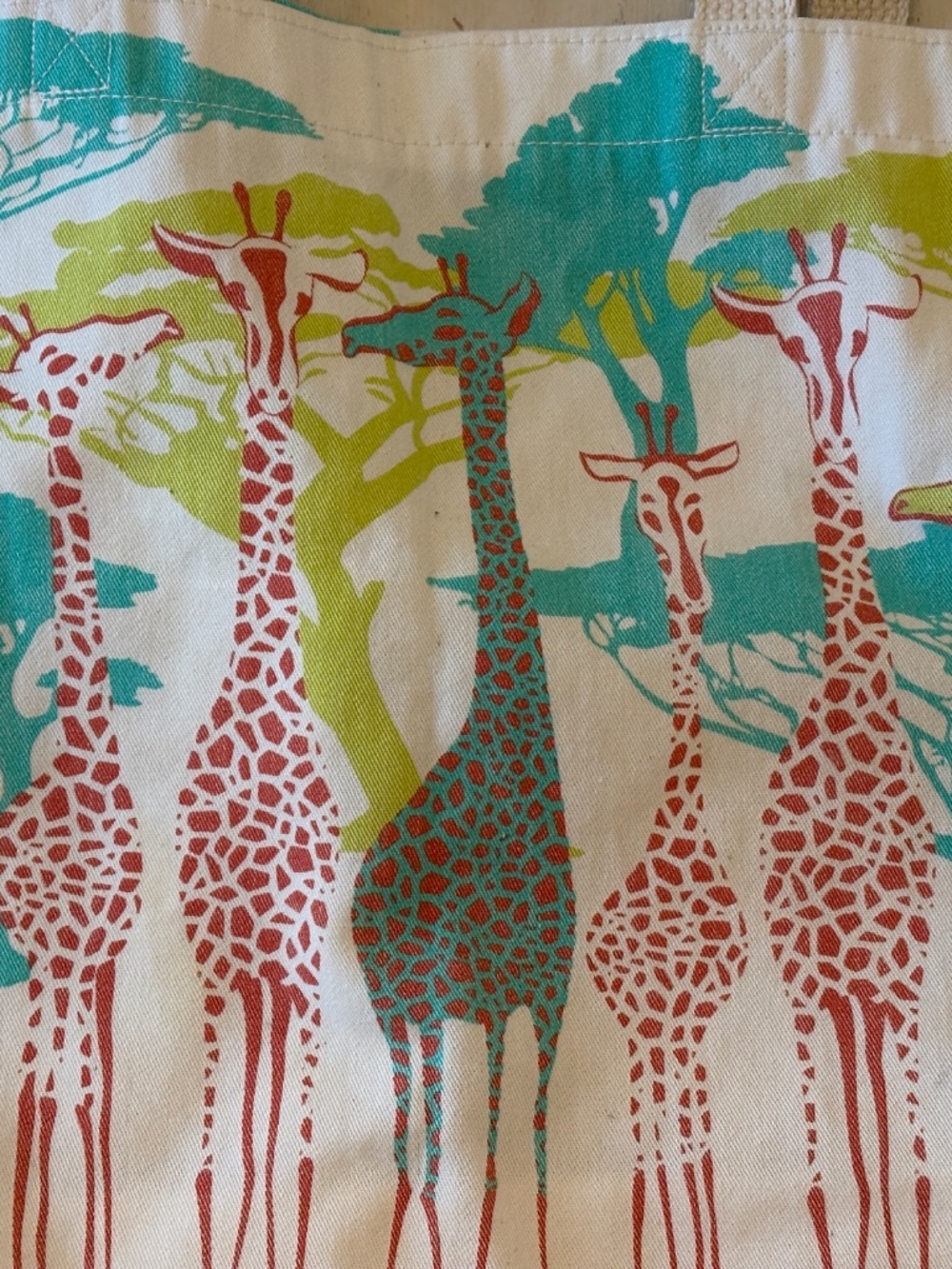 2 Cloth Totes Color Giraffe Design - Picture 2 of 6